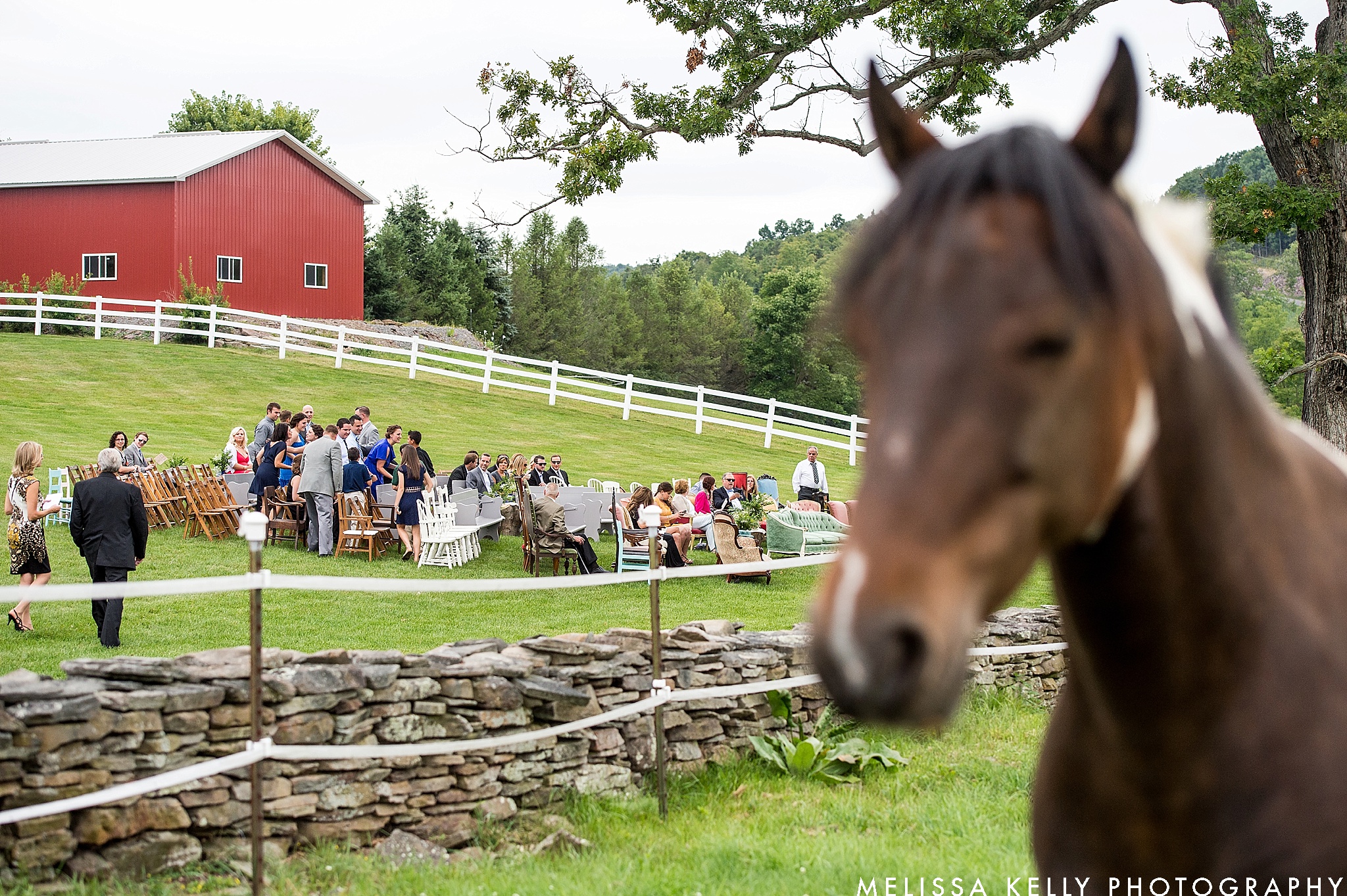 horse-farm-wedding-050