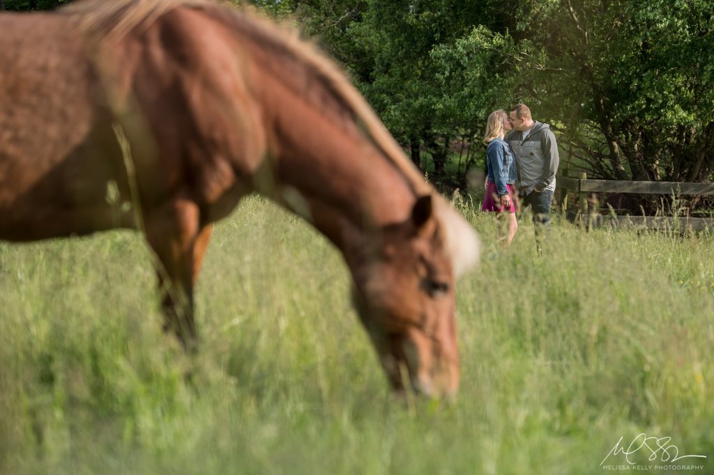melissa kelly horse farm engagement photos