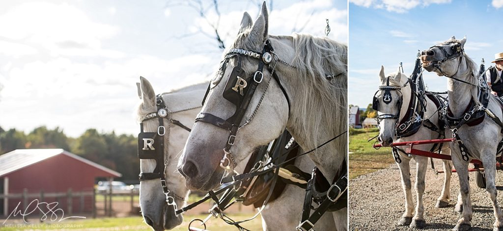 melissa kelly photography horse farm wedding photos